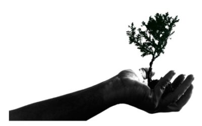 Flipping into the Future: Launching a New Marketing Consulting Business
