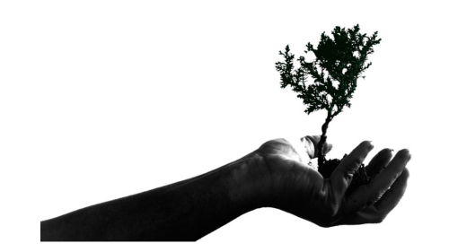 Flipping into the Future: Launching a New Marketing Consulting Business